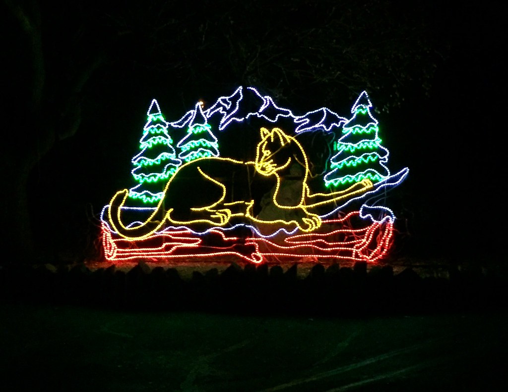 Denver Zoo Lights Dec 5, 2016 Flickr