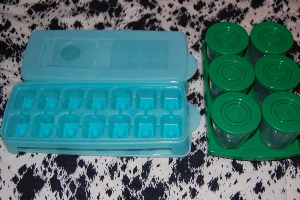 ice cube trays for freezing home made baby food (2) R7 ea… Flickr