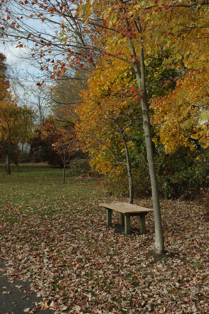 Silence of Heritage Park, Allentown, NJ 013 HeronThere Flickr