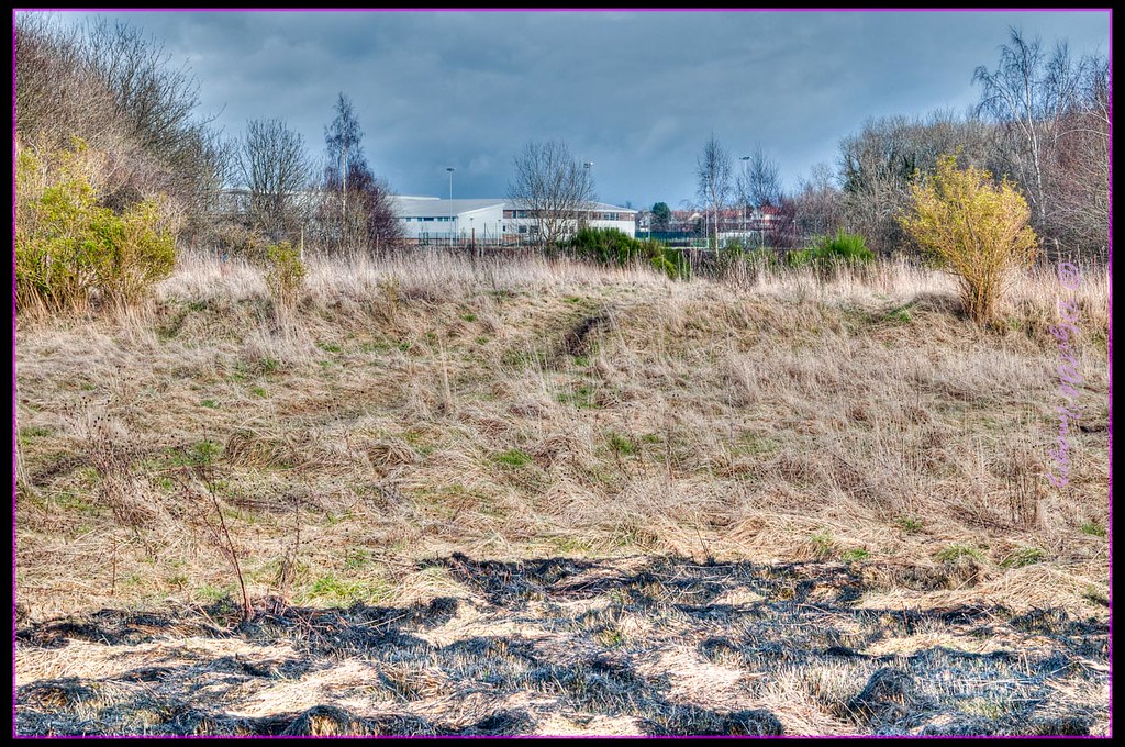 Larkhall Academy Broomhill Larkhall D1gitAl Imagez Flickr