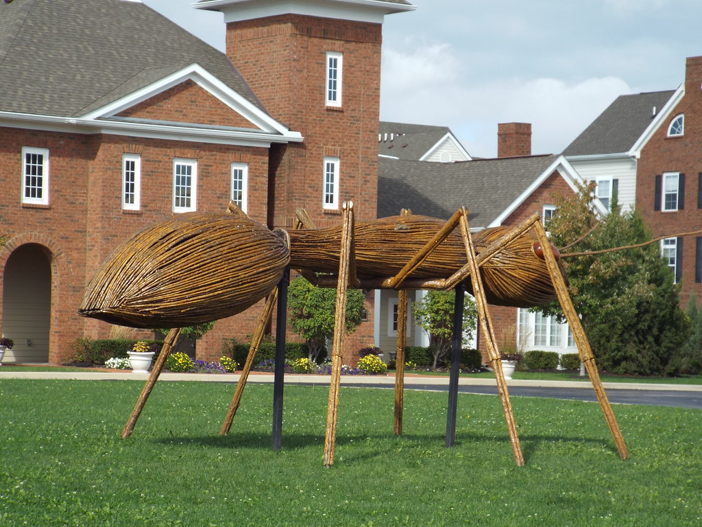 Giant Insect Sculptures at Levis Commons Vicki Timman Flickr