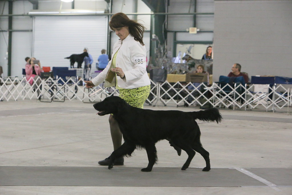 Specialty 2013 004 Logan, Vets class IslandflatsFCRs Flickr