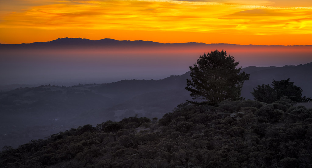 first light of 2014 portola valley, california I managed… Flickr
