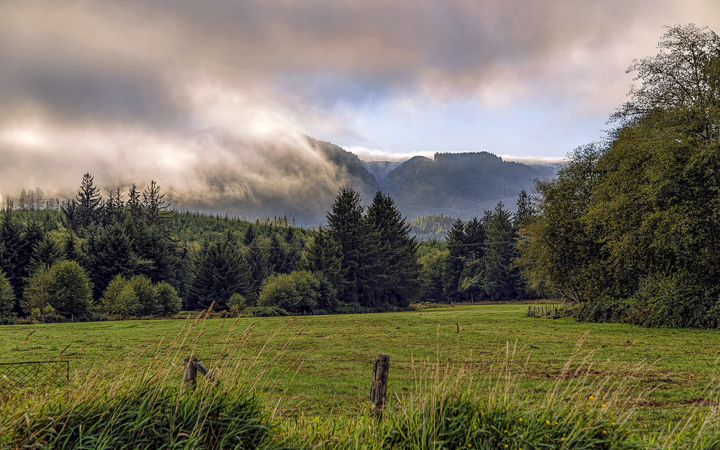 Nehalem, Oregon Misty mountains in Nehalem, Oregon. Grant Condit Flickr