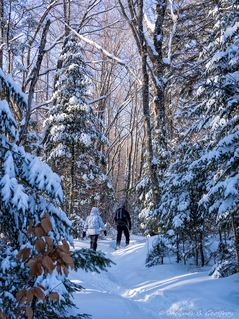 P1010079E.jpg Montagne Noire, StDonat de Montcalm, Québe… Jacques