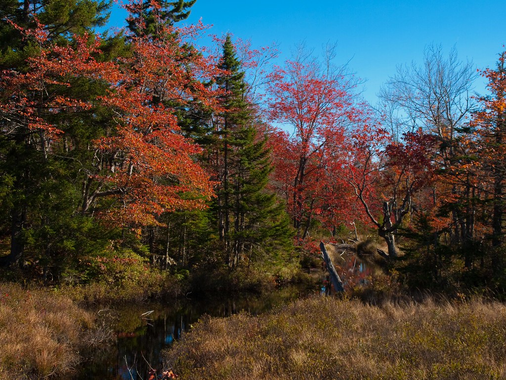 Mount Uniacke NS OLYMPUS DIGITAL CAMERA Steve McCleave Flickr