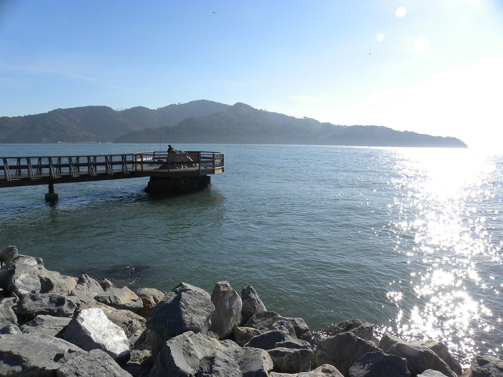 Tiburon, CA, Elephant Rock at High Tide Photo by Megan Ed… Flickr