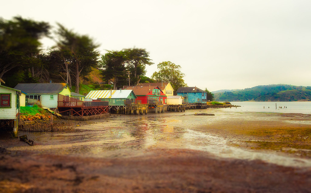 Low Tide on Tomales Bay Shot from the Nick's Cove in Tomal… Flickr