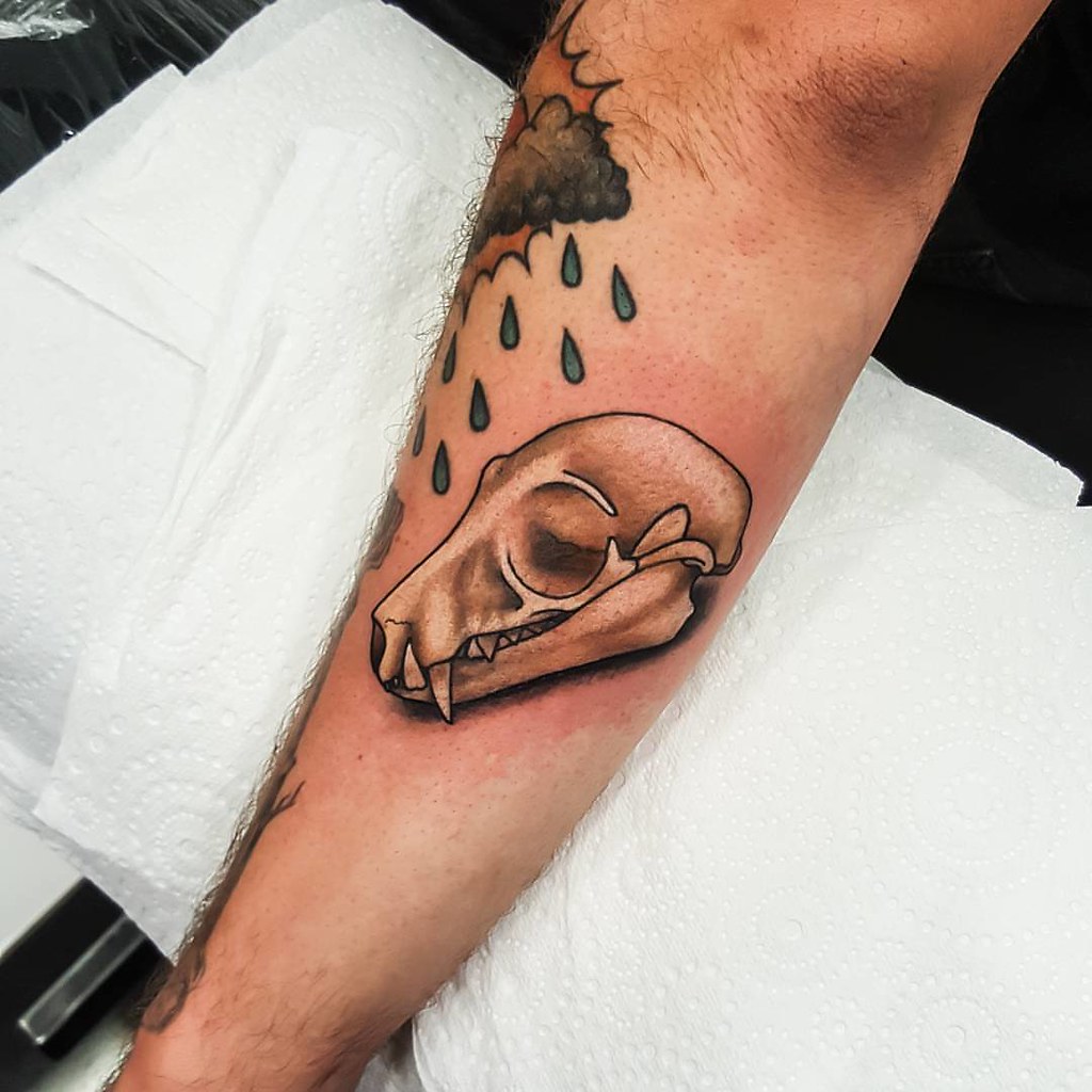 Tattoos Flying Fox / Fruit Bat Skull I Tattooed For Brian… | Flickr 1024_x_1024_jpg
