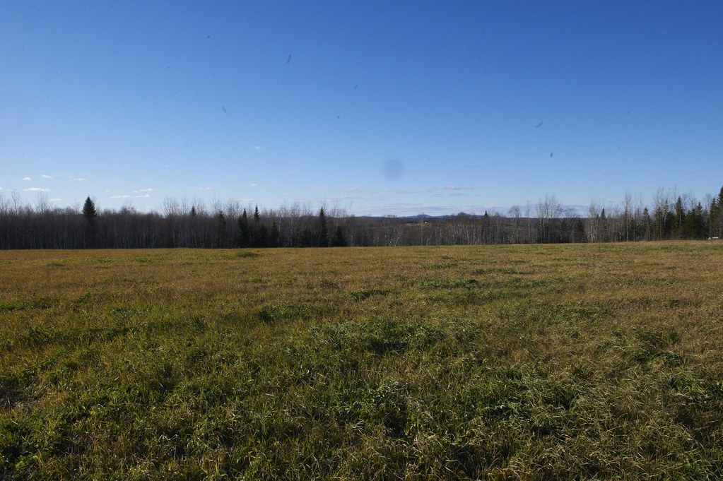 Elevation of Little Madawaska Lake Rd, Westmanland, ME, USA