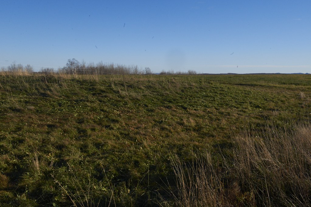 Elevation of Little Madawaska Lake Rd, Westmanland, ME, USA