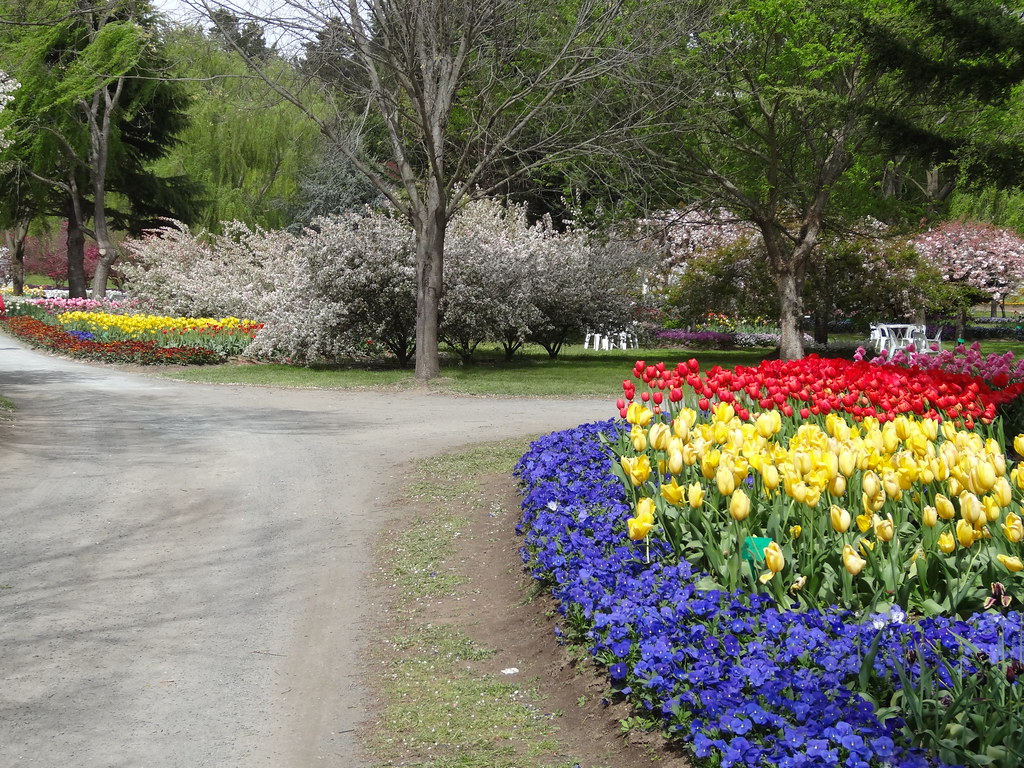 Tulip Top Gardens Sutton NSW Tuliptop Gardens. This wonder… Flickr