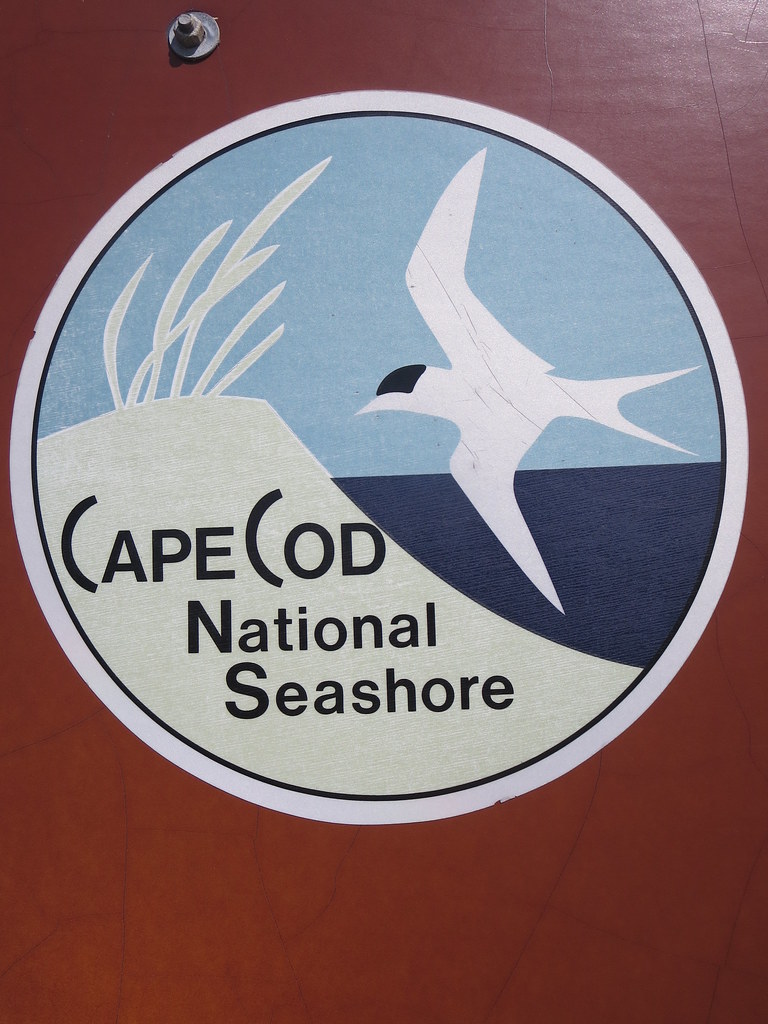 The Cape Cod National Seashore painted logo on wooded boar