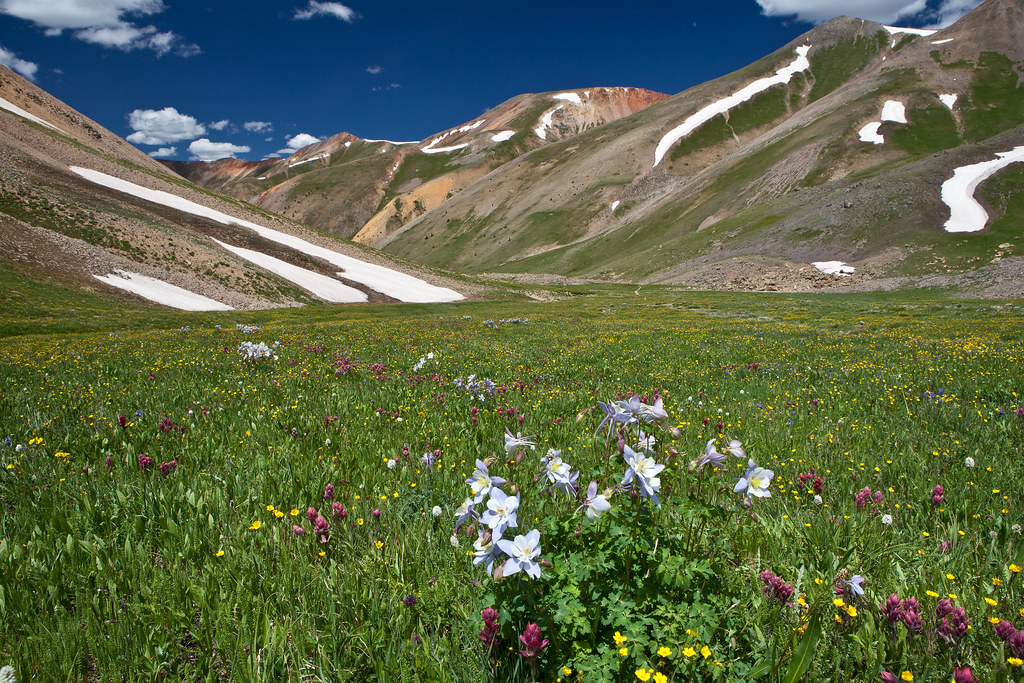 Red Cloud Peak WSA The Red Cloud Peak Wilderness Study Are… Flickr