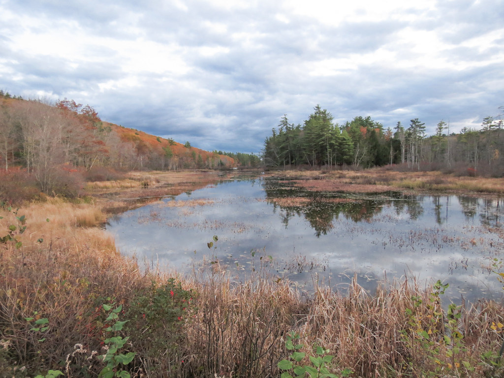 The Passage Connecting Parker Pond and Pleasant Lake, Casc… Flickr
