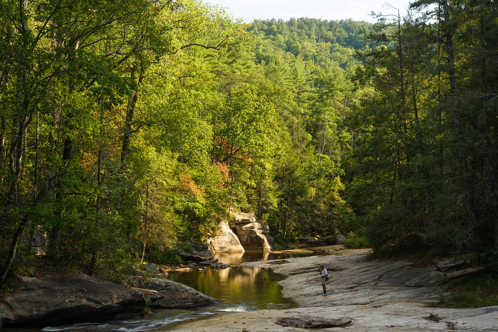 Fishing on the Creek. Long Shoals Creek. SC. Photo Lou T.… Flickr