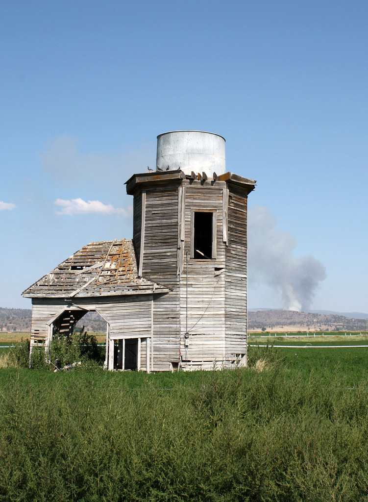 "The Pigeon Barn" Merrill Oregon, August 13 2013. Dan Haneckow Flickr