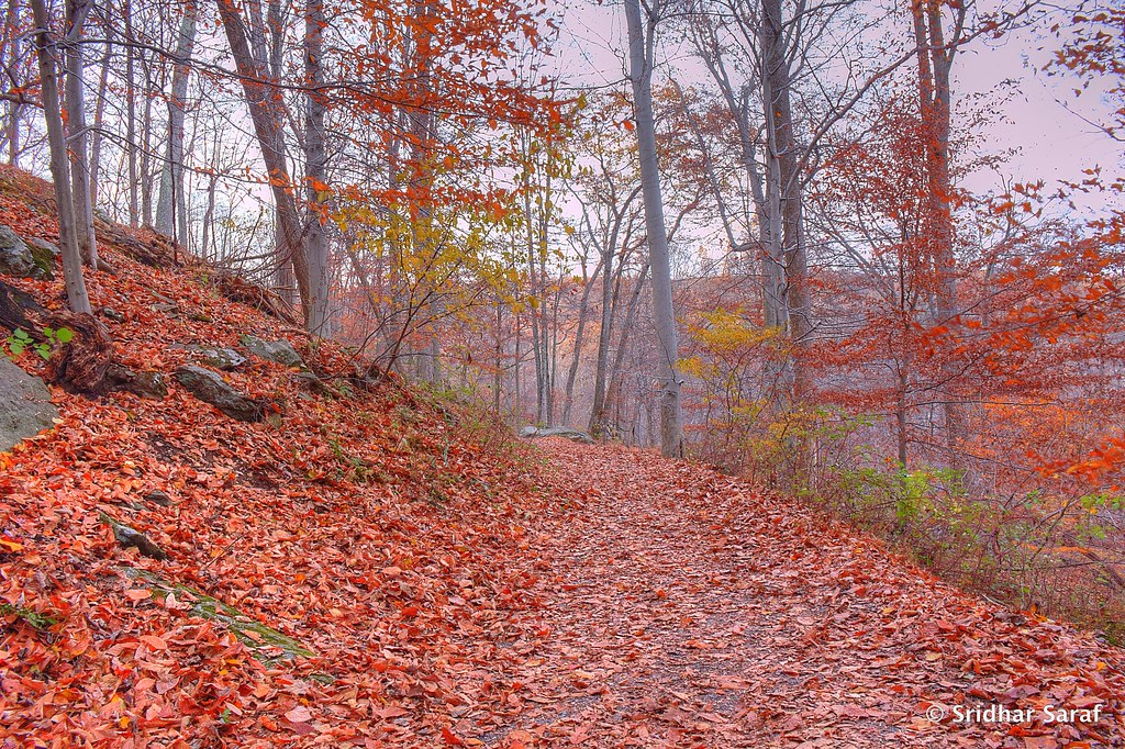 Cunningham Falls State Park, Thurmont, Maryland (USA) No… Flickr