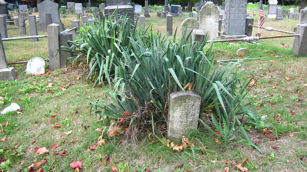 Edgewater Cemetery (30) Mr Flikker Flickr