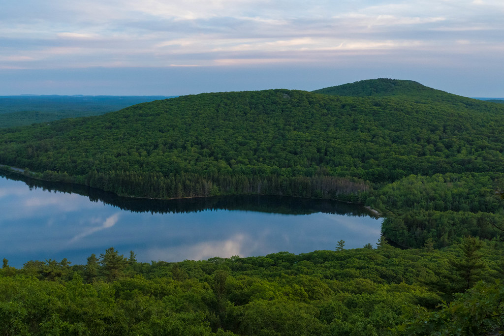 Lushness A view from the trail on Spruce Mountain in Hope,… Flickr