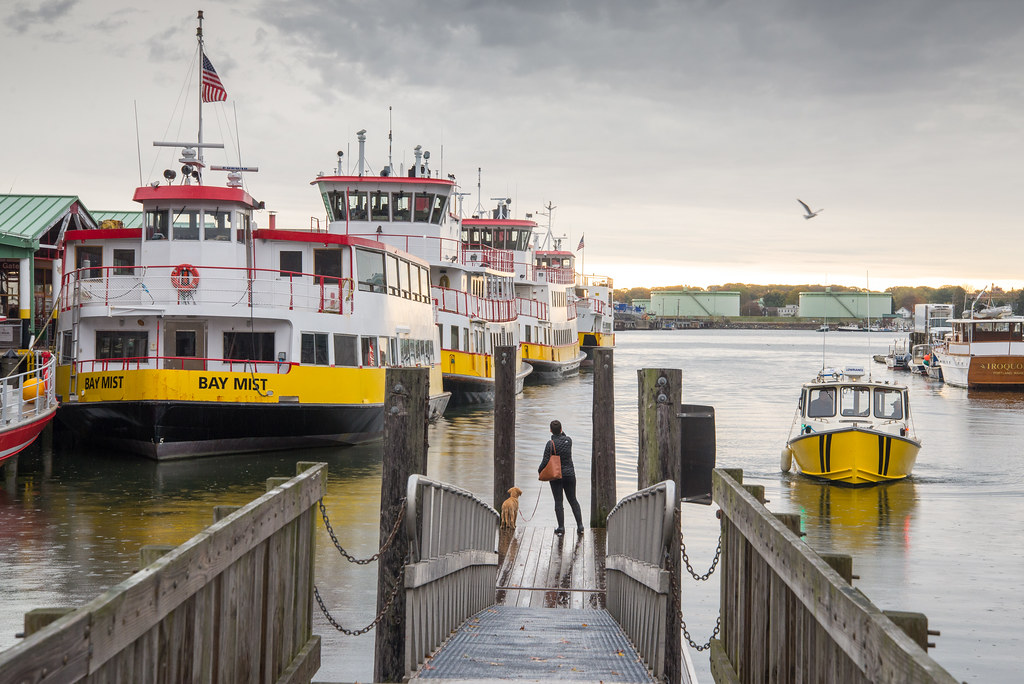 Waiting for the Water Taxi A dog and their person waiting … Flickr