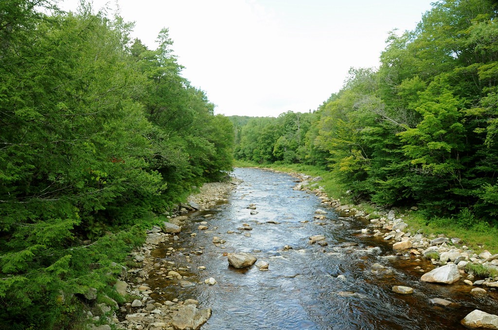 DSC_0633 Deerfield River, near Searsburg Reservoir, VT Putneypics