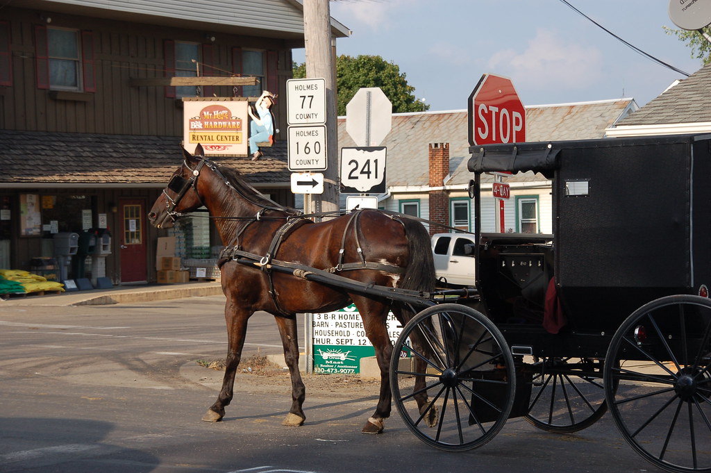 Amish Carriage Amish Country Ralf Peter Reimann Flickr