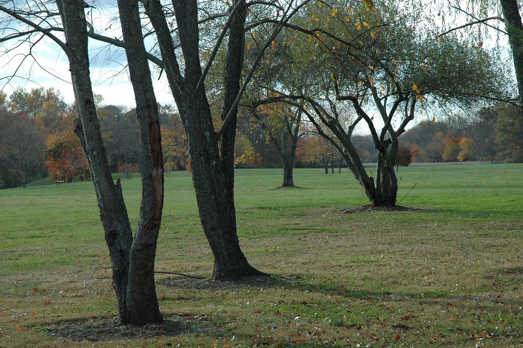 Silence of Heritage Park, Allentown, NJ 036 HeronThere Flickr