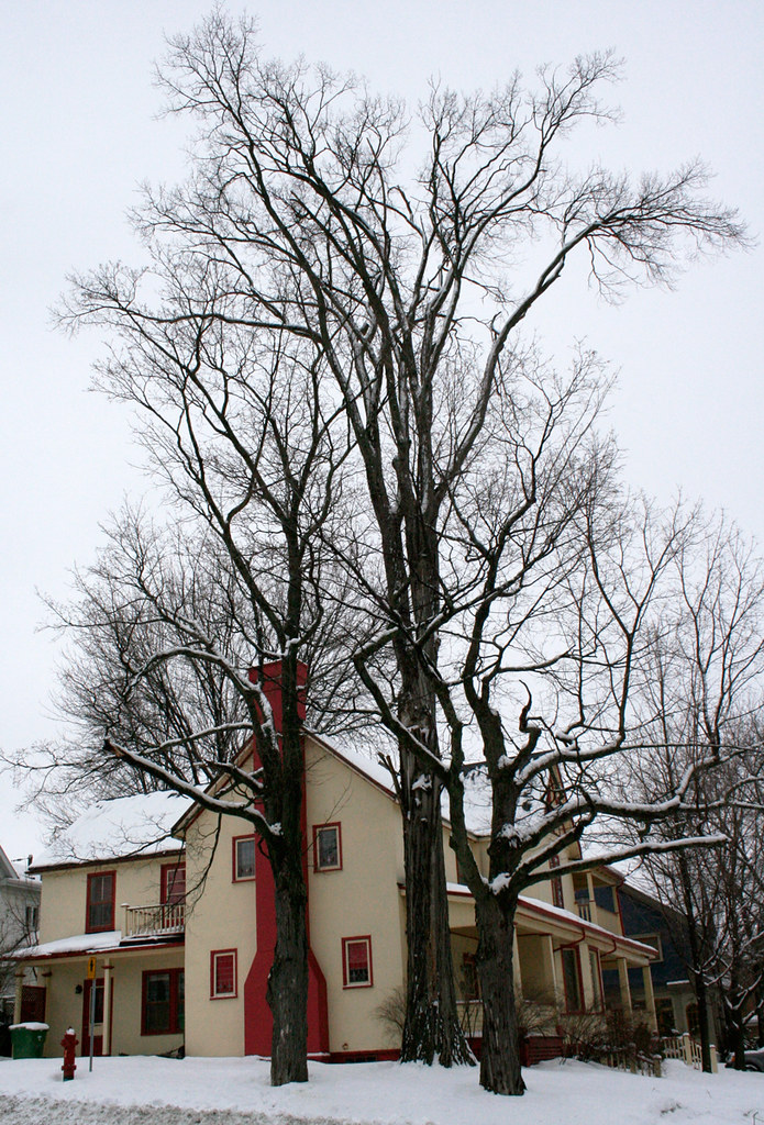 VieuxNord de Sherbrooke QC Quartier du VieuxNord Avec … Flickr
