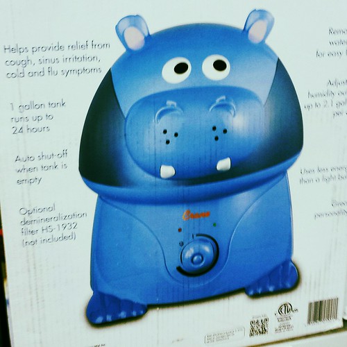hippo humidifier Rich Flickr