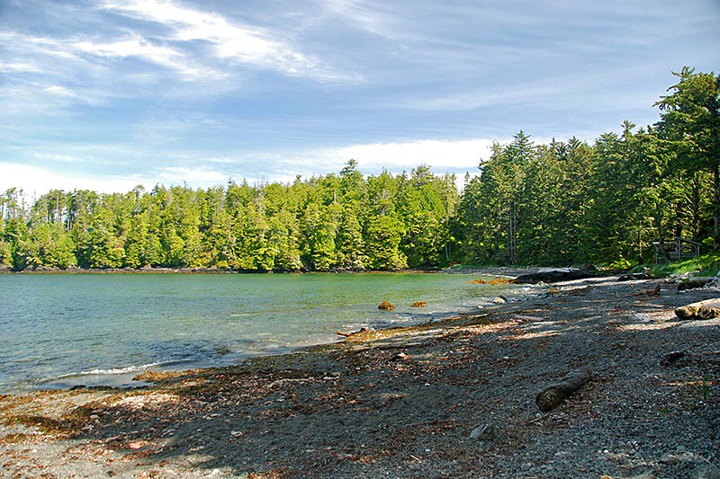 Cabins at Terrace Beach » Ucluelet British Columbia Travel and