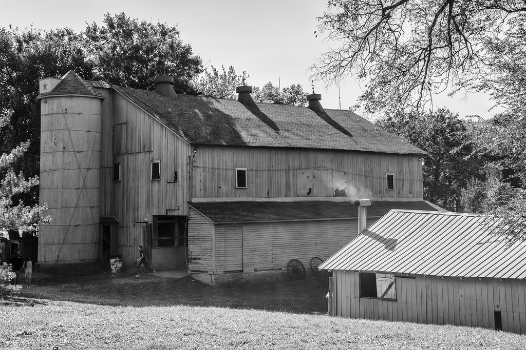Pumpkin Farm Michael Goodwin Flickr