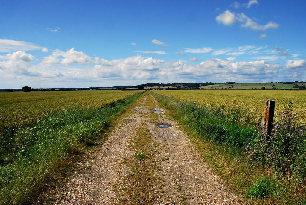 Romney Marsh An old track leading off into Romney Marsh, t… Flickr