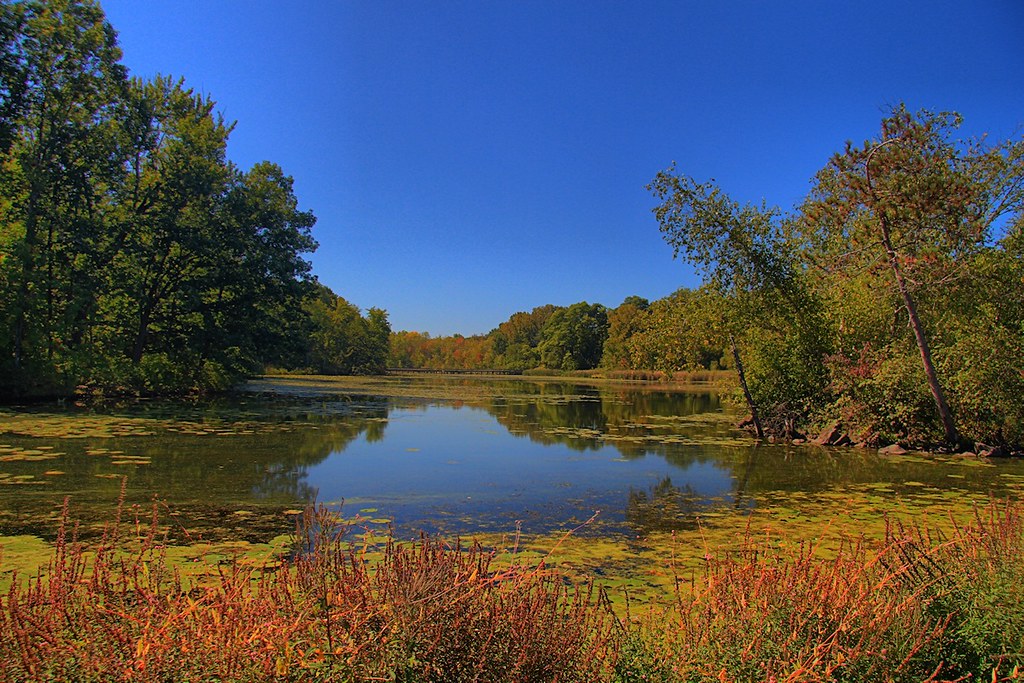 Ann Lee Pond Colonie NY Hank Bickel Flickr