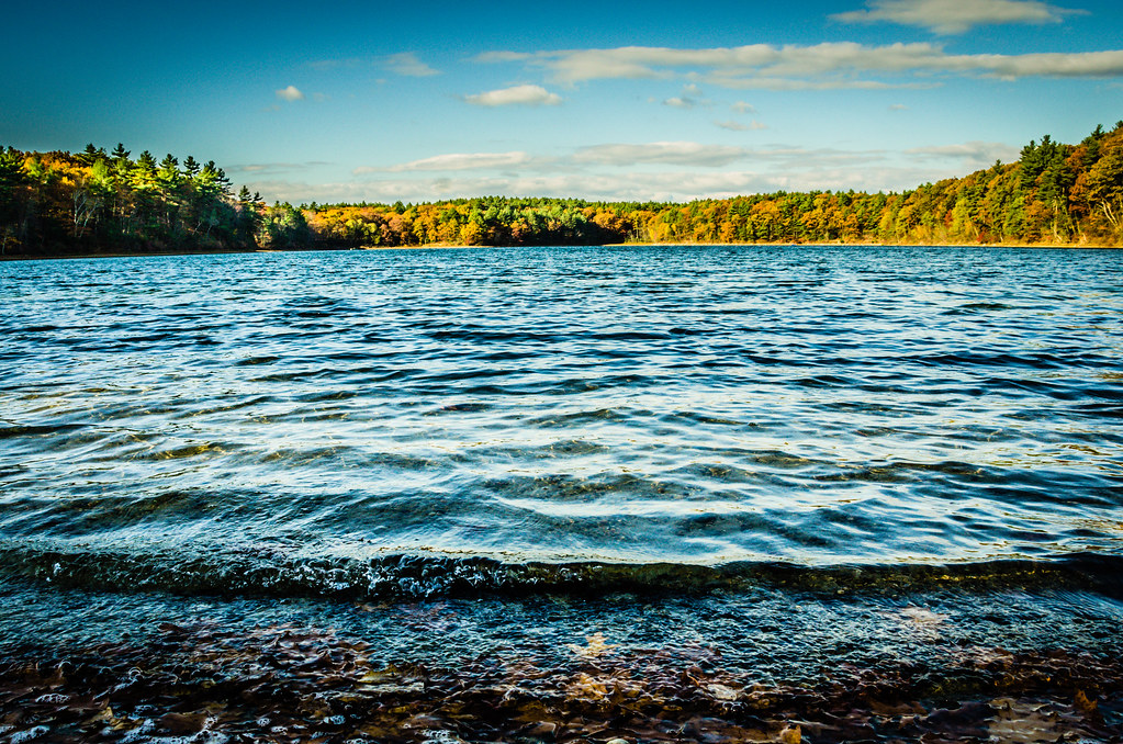 Week 43 Autumn at Walden Pond alyshathompson Flickr