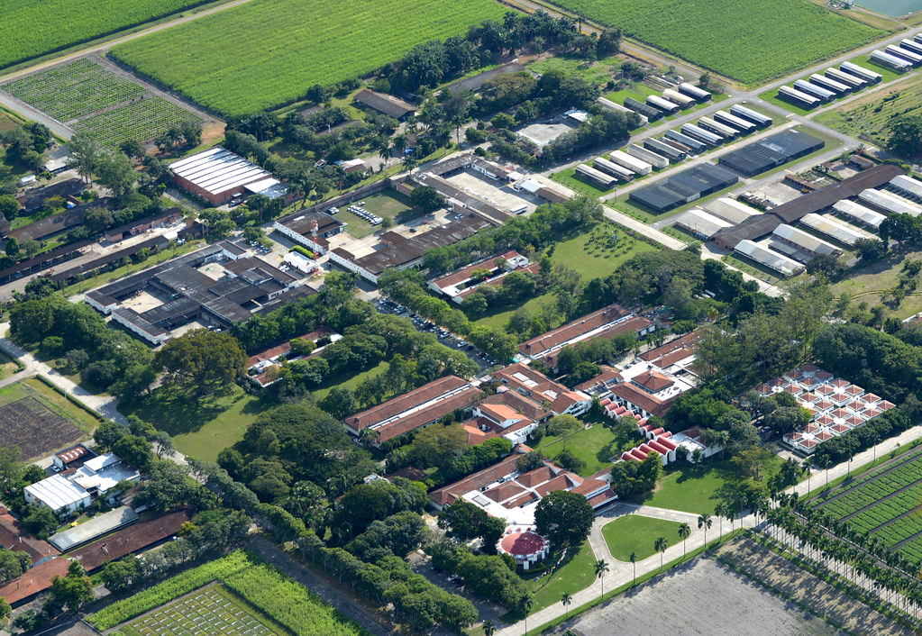 CIAT 1 Instalaciones de CIAT, Palmira, Colombia. Crédito … Flickr