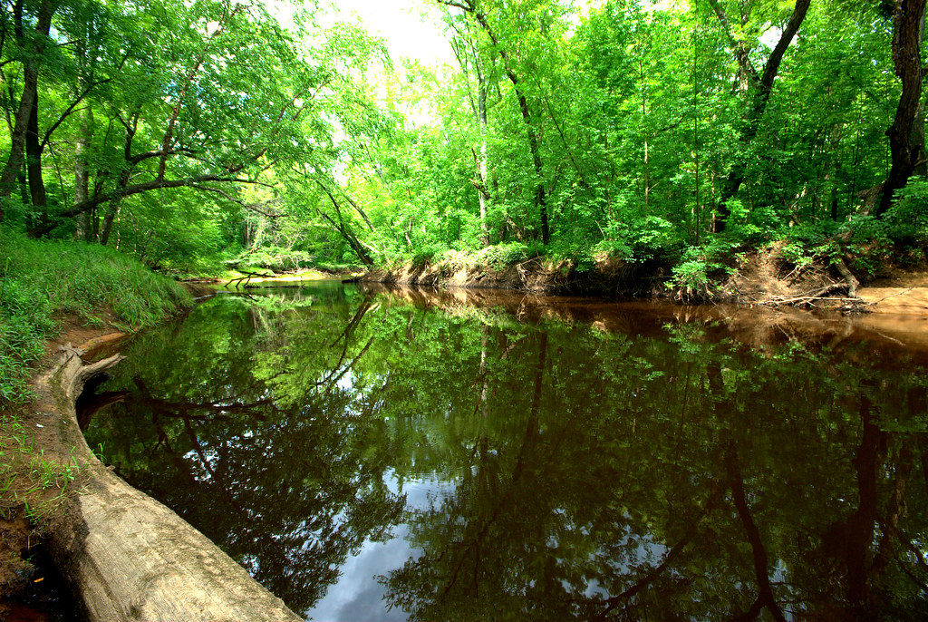 Yellow River Yellow River Floodplain Forest Wisconsin Stat… Flickr