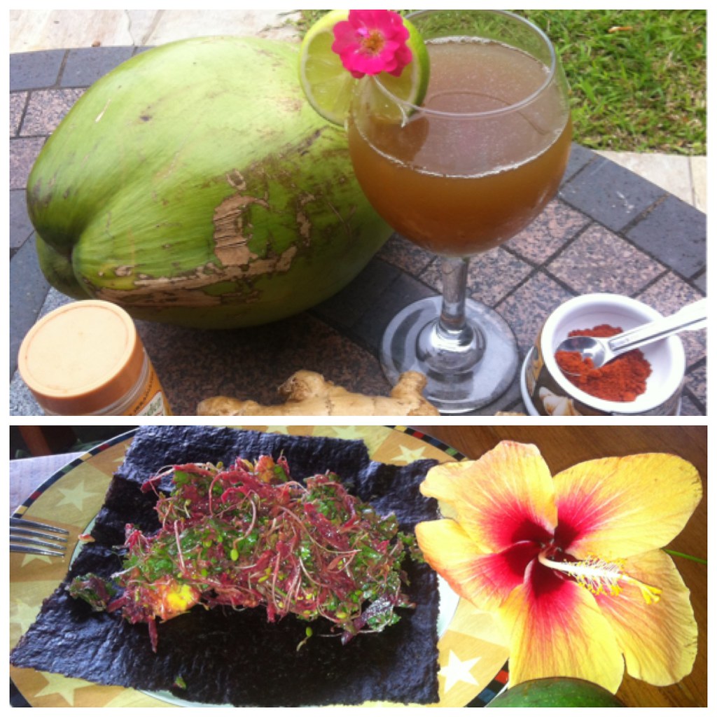 Raw Food Boot Camp Zane Skestere Flickr