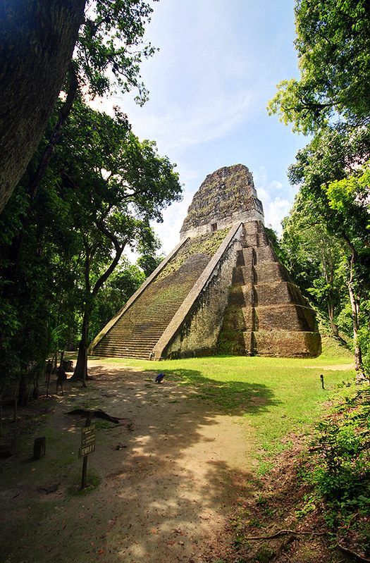 Jungle Pyramid WoodsLima