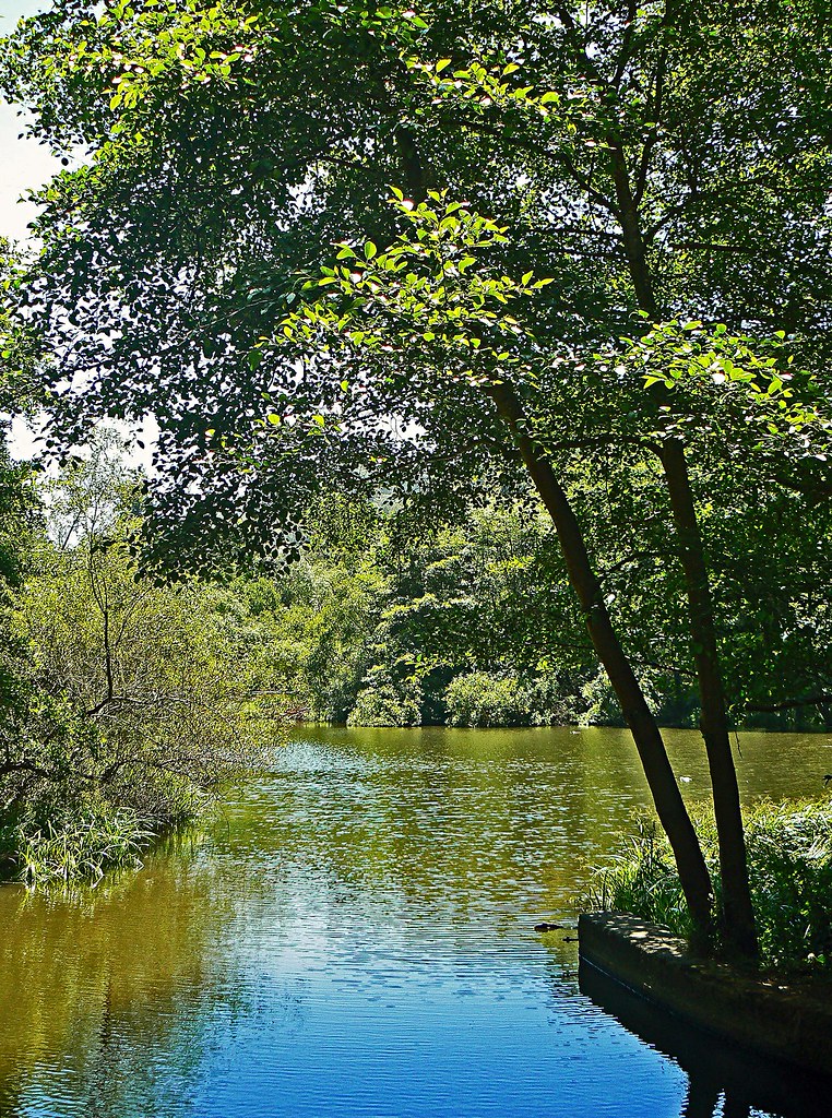 Jewel Lake Tilden Park's Jewel Lake from the dam. East Bay… Flickr