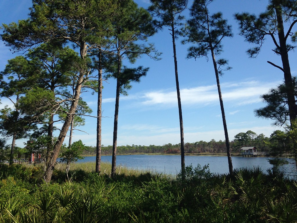 Western Lake in Watercolor, Grayton Beach, FL dot com2011 Flickr