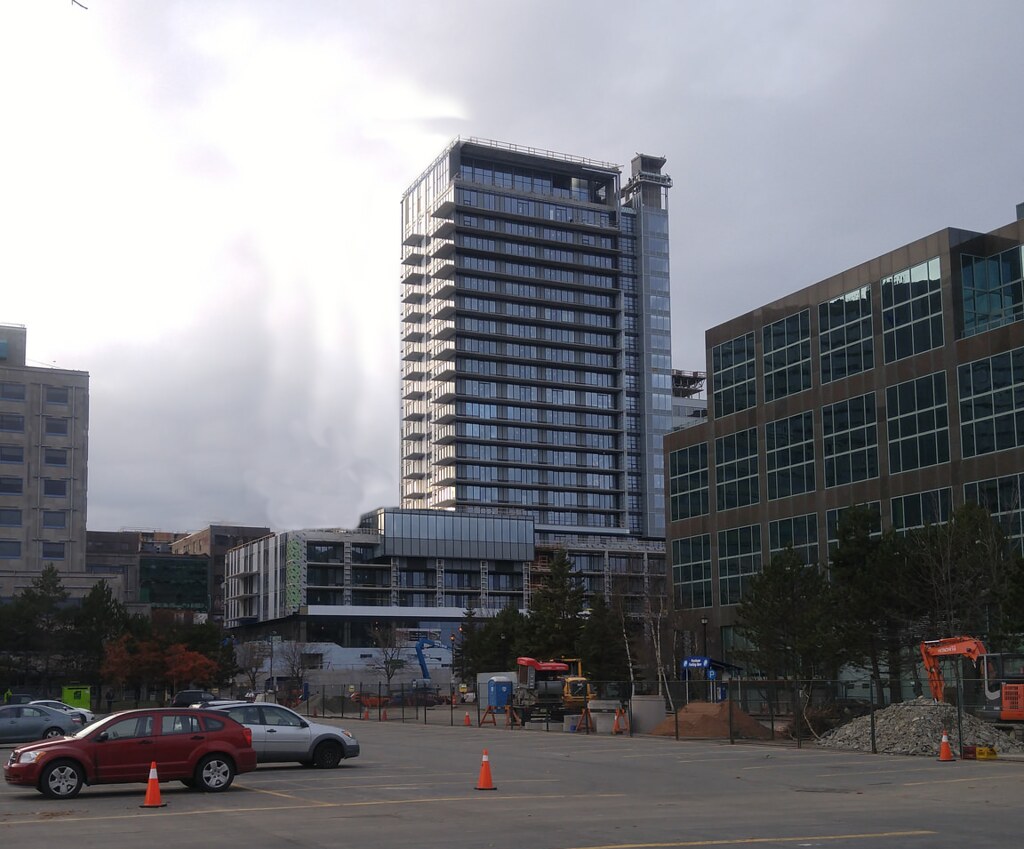 Maple of The Maple in Downtown Halifax