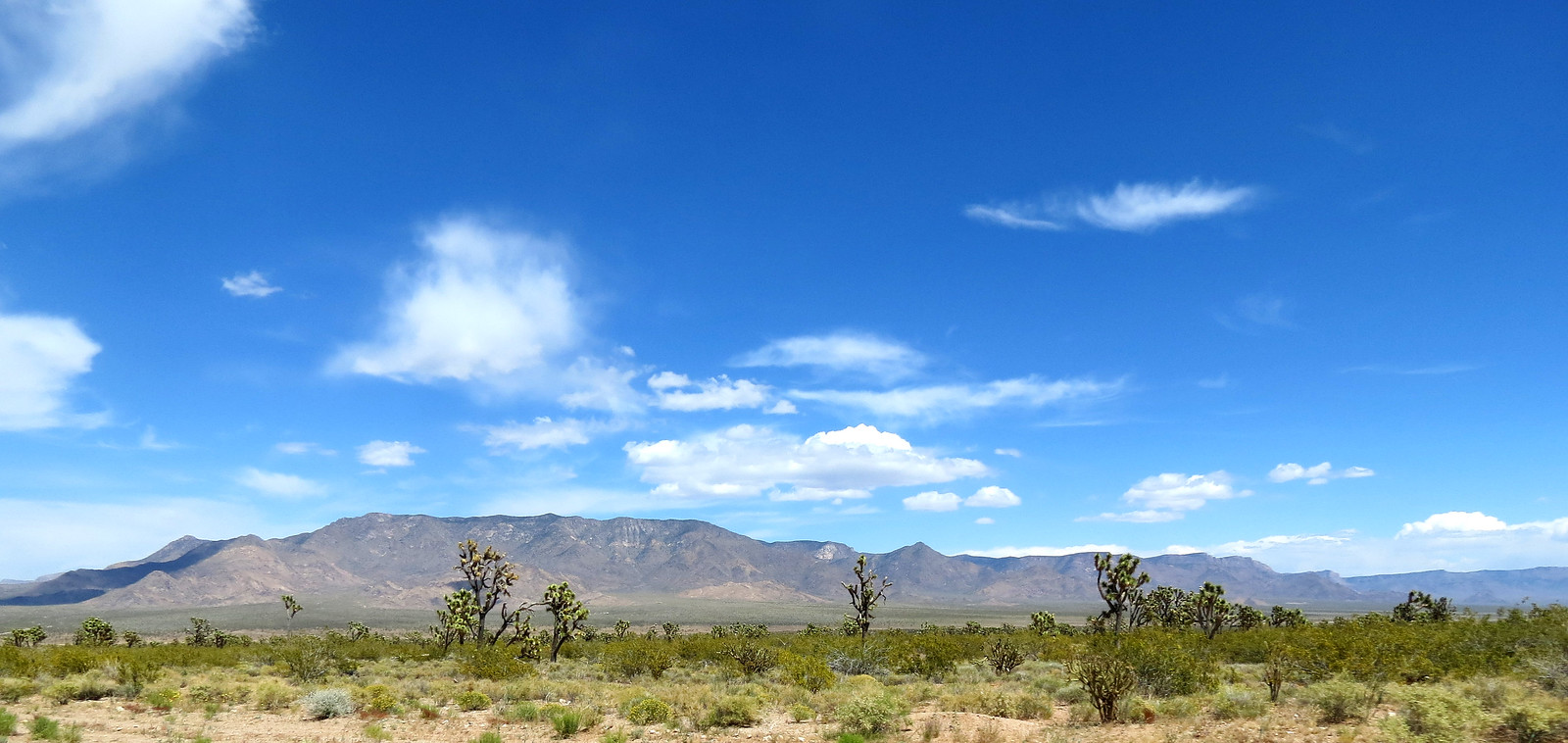 Dolan Springs to Grand Canyon West Flickr
