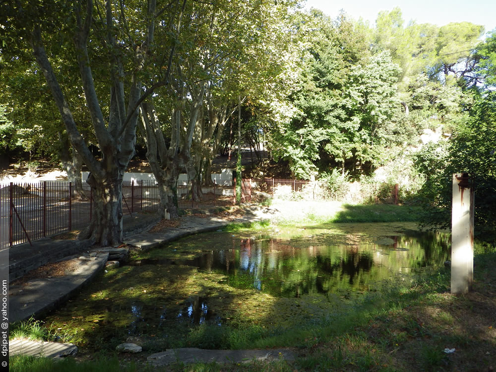 Fontaine Marie Rose ? Grans whotoad