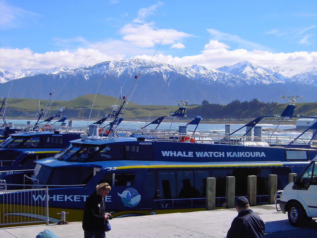 Kaikoura. Whale watch boats at Kaikoura New Zealand. This … Flickr