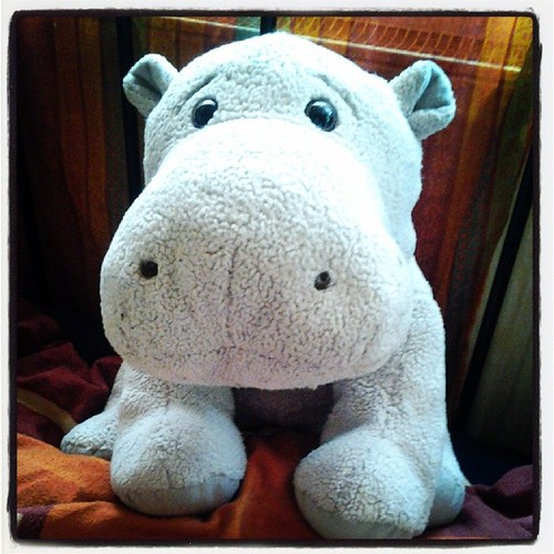 Here she is clean and restuffed stuffedanimal hippo nil… Flickr