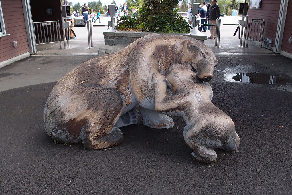 Polar Bear Zoo at Margaret Lucero blog