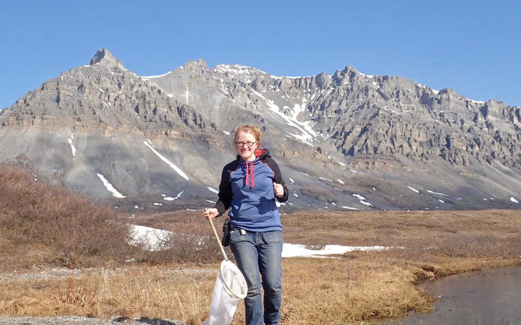 20160520TG35200144aAnaktuvukPassK.Daly.jpg D. Sikes Flickr