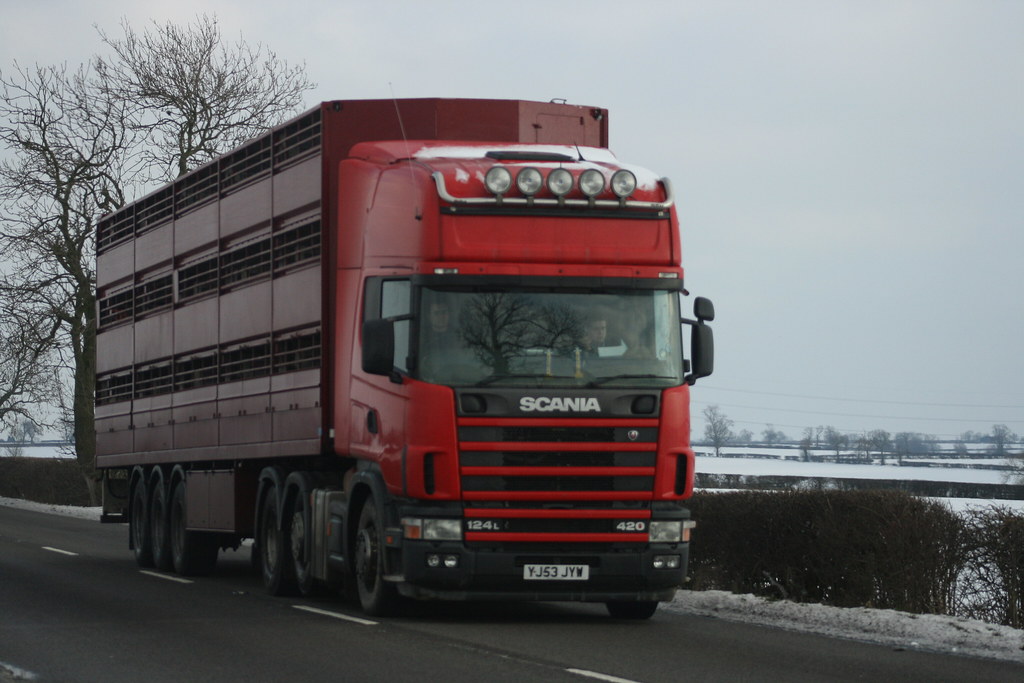 Livestock Transport Flickr