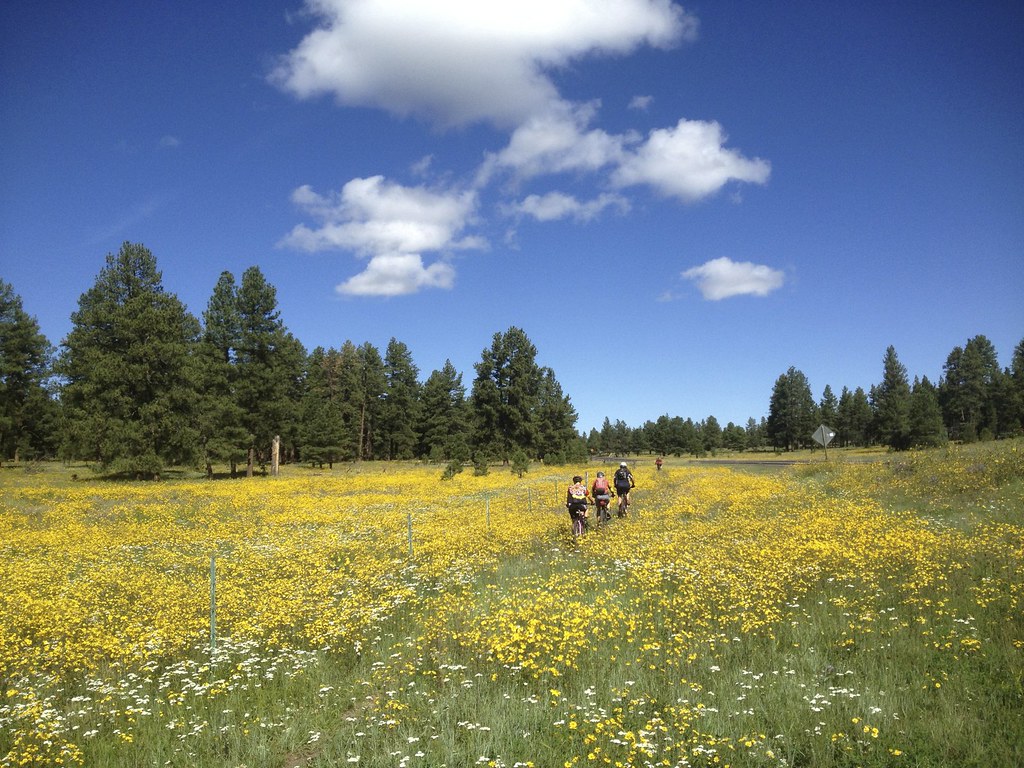 Zuni Mountains Ride a photo on Flickriver